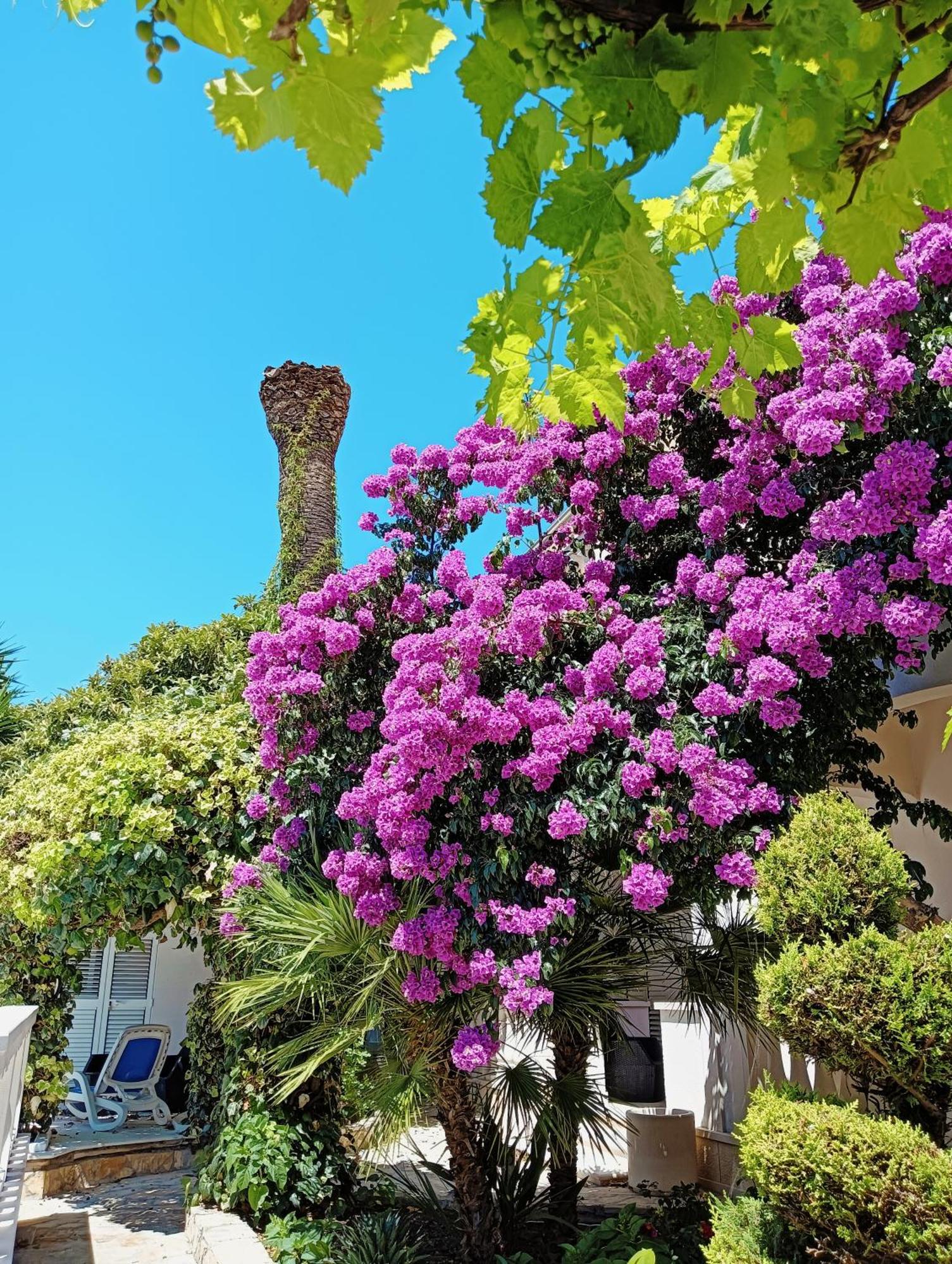 Villa Aspalathos Kastela Luaran gambar